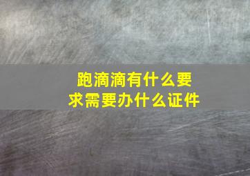 跑滴滴有什么要求需要办什么证件