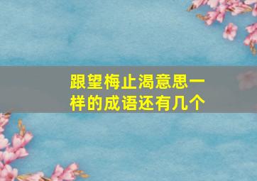 跟望梅止渴意思一样的成语还有几个