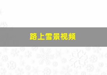 路上雪景视频