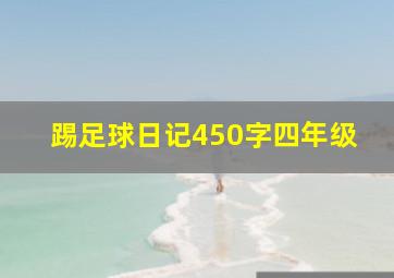 踢足球日记450字四年级