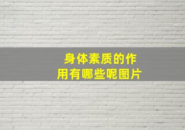 身体素质的作用有哪些呢图片