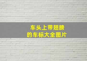 车头上带翅膀的车标大全图片