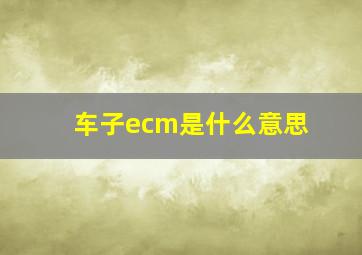 车子ecm是什么意思