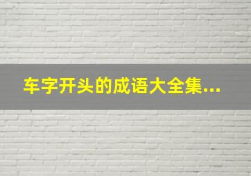 车字开头的成语大全集...