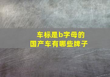 车标是b字母的国产车有哪些牌子