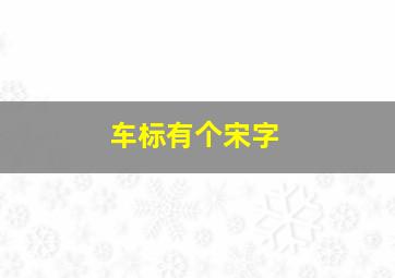 车标有个宋字