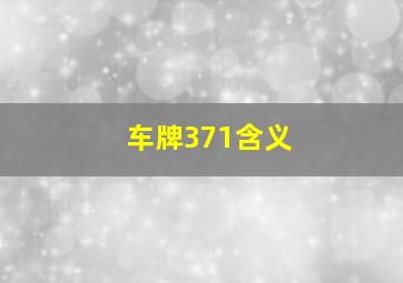 车牌371含义