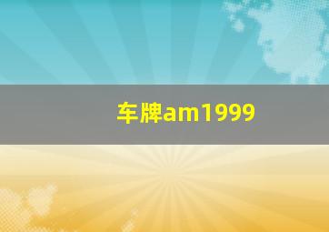 车牌am1999