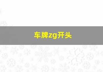 车牌zg开头