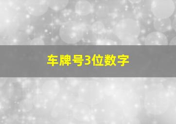 车牌号3位数字