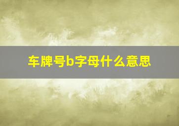 车牌号b字母什么意思