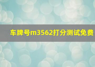 车牌号m3562打分测试免费