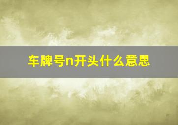 车牌号n开头什么意思