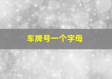 车牌号一个字母