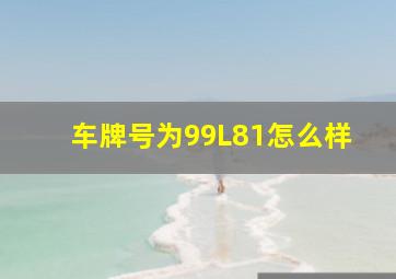 车牌号为99L81怎么样