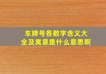 车牌号各数字含义大全及寓意是什么意思啊