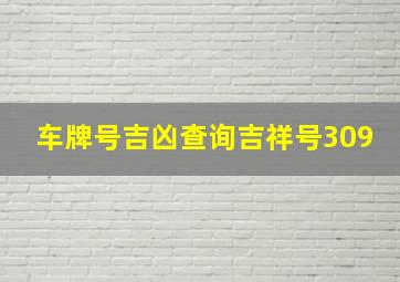 车牌号吉凶查询吉祥号309