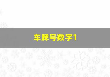 车牌号数字1