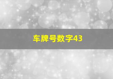 车牌号数字43