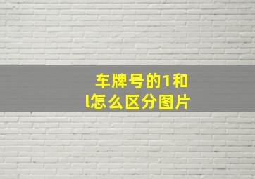 车牌号的1和l怎么区分图片