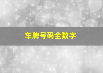 车牌号码全数字