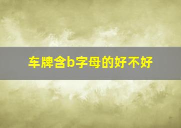 车牌含b字母的好不好