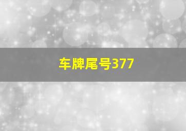 车牌尾号377