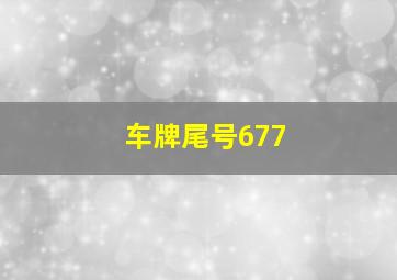 车牌尾号677