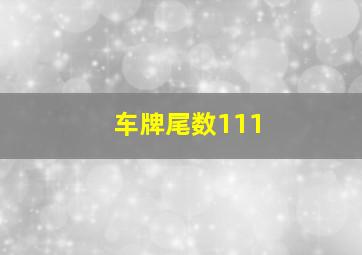 车牌尾数111