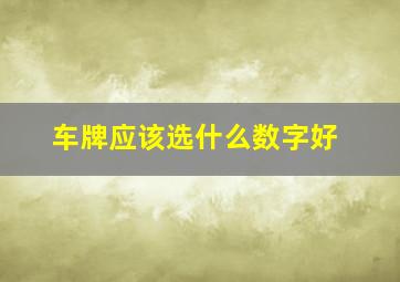 车牌应该选什么数字好