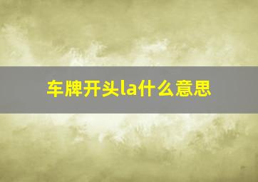 车牌开头la什么意思