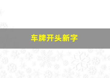 车牌开头新字