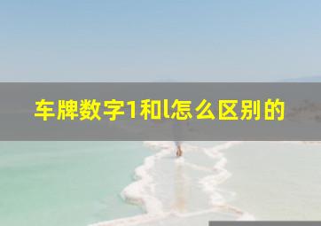 车牌数字1和l怎么区别的