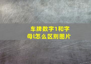 车牌数字1和字母l怎么区别图片