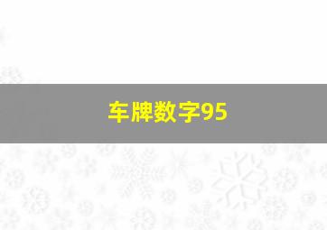 车牌数字95