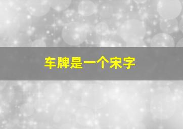 车牌是一个宋字