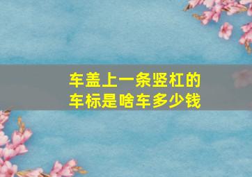 车盖上一条竖杠的车标是啥车多少钱