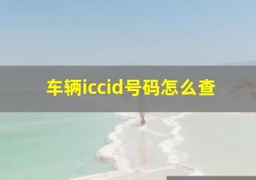 车辆iccid号码怎么查