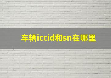 车辆iccid和sn在哪里