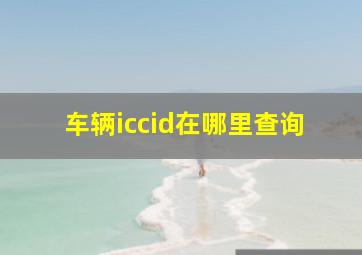 车辆iccid在哪里查询