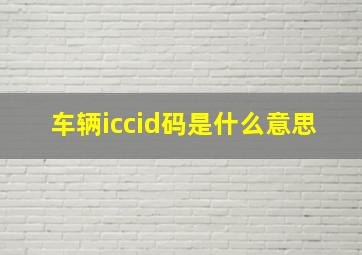 车辆iccid码是什么意思