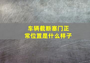 车辆截断塞门正常位置是什么样子