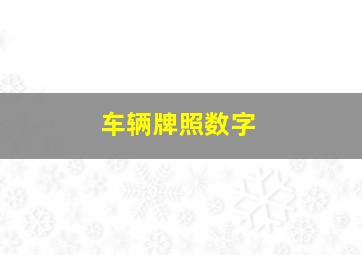 车辆牌照数字