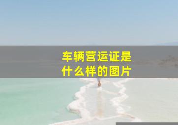 车辆营运证是什么样的图片