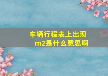 车辆行程表上出现m2是什么意思啊