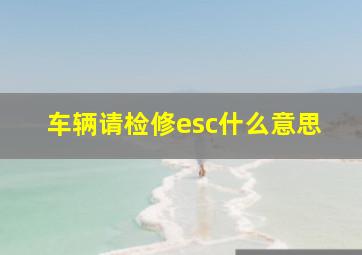 车辆请检修esc什么意思