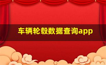 车辆轮毂数据查询app