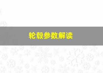 轮毂参数解读