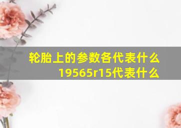 轮胎上的参数各代表什么19565r15代表什么