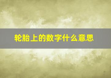 轮胎上的数字什么意思